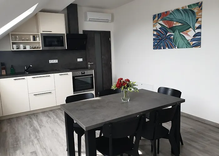 Apartmany Miska Mirkovice